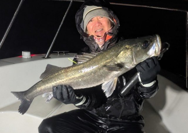 シーバス(スズキ)