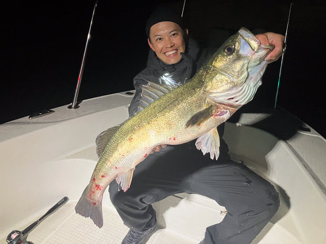 シーバス(スズキ)