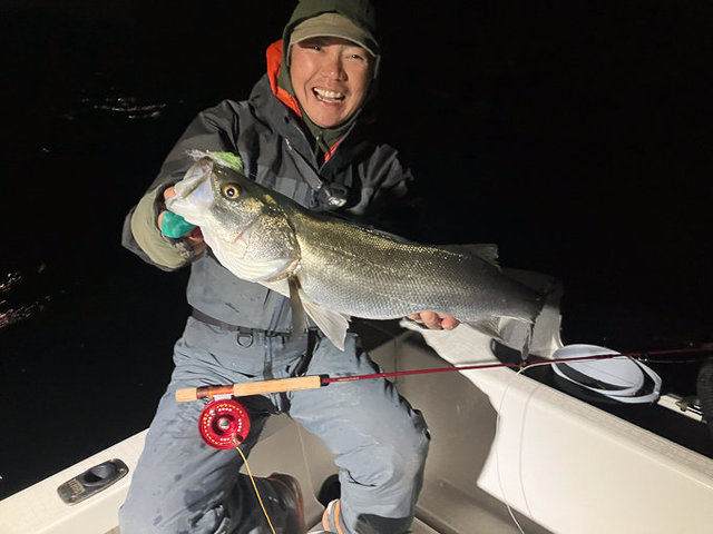 シーバス(スズキ)