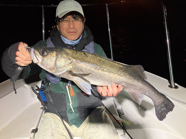 シーバス(スズキ)