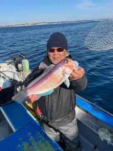 アマダイ(アカアマダイ)