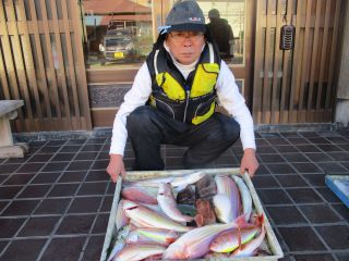 シロアマダイ・イトヨリ(イトヨリダイ)