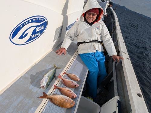 マダイ・イナダ(ブリ)