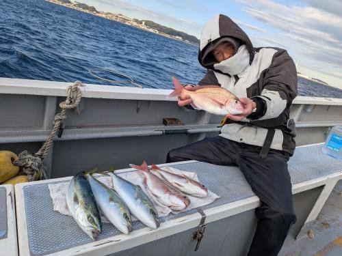 マダイ・イナダ(ブリ)