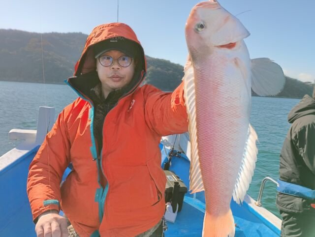 アマダイ(アカアマダイ)