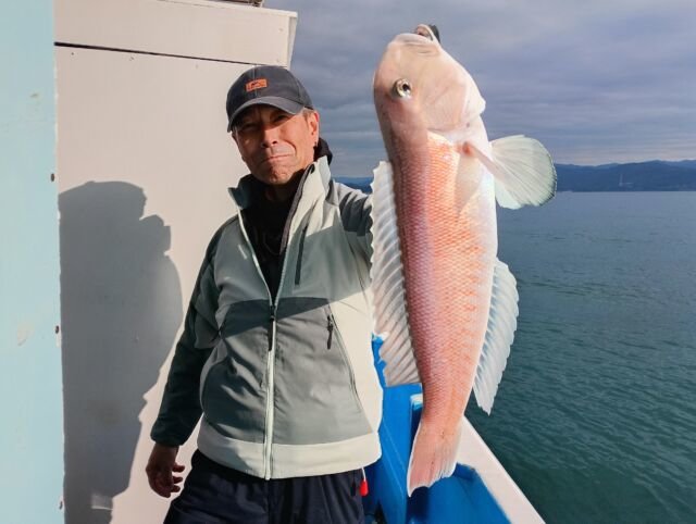 アマダイ(アカアマダイ)