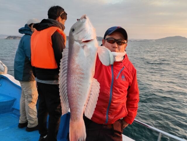 アマダイ(アカアマダイ)