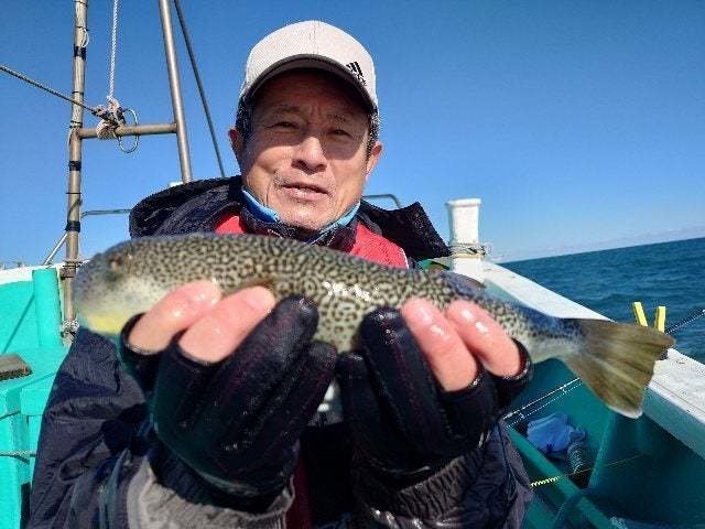 ショウサイフグ