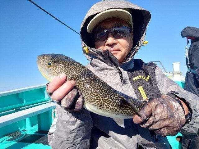 ショウサイフグ