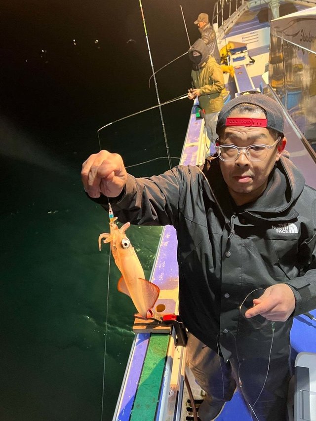 マルイカ(ケンサキイカ)