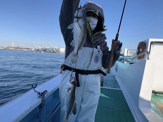 イシモチ(シログチ)