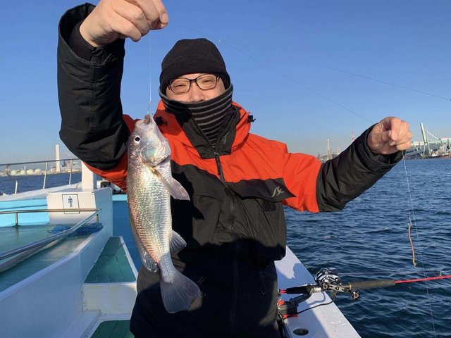 イシモチ(シログチ)