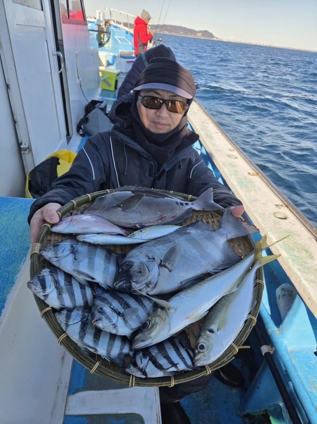 ハナダイ(チダイ)・イシダイ・アジ(マアジ)
