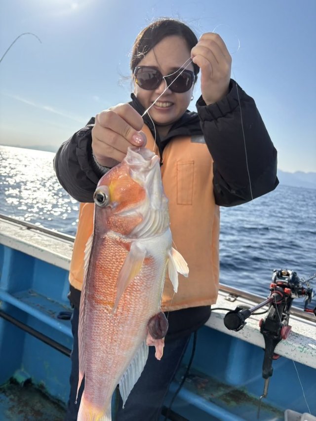 アマダイ(アカアマダイ)