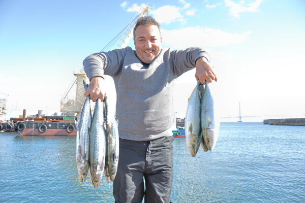 ハマチ(ブリ)・サゴシ(サワラ)