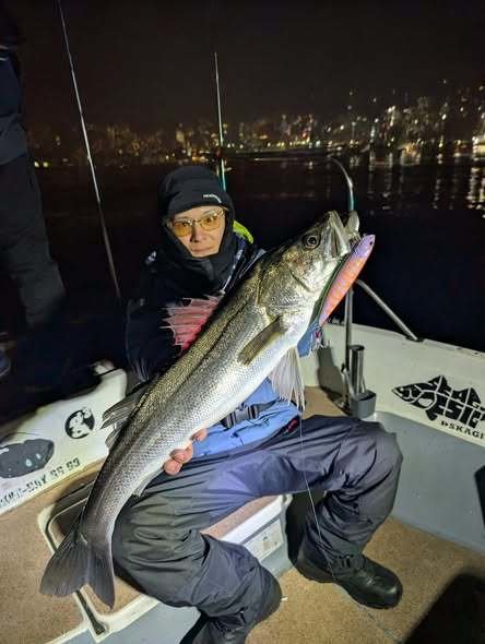 シーバス(スズキ)