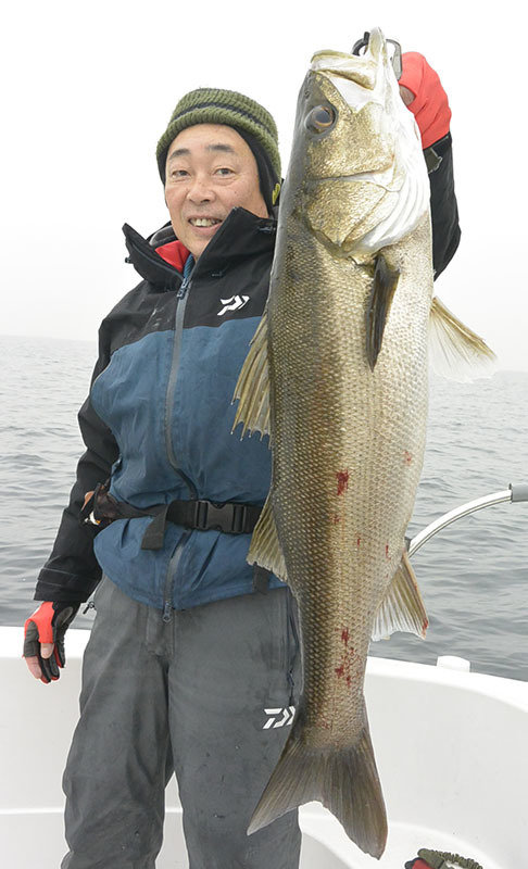 シーバス(スズキ)