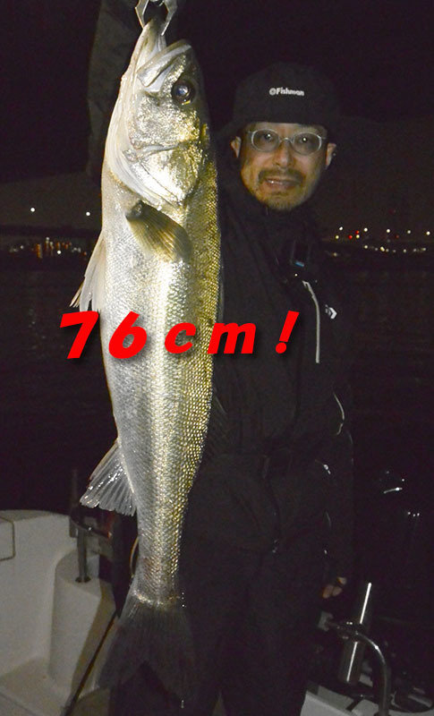 シーバス(スズキ)