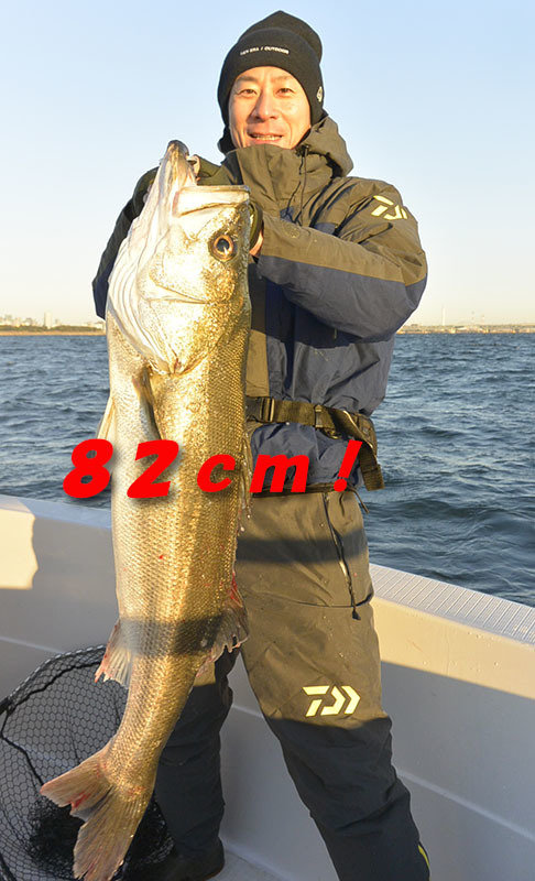 シーバス(スズキ)