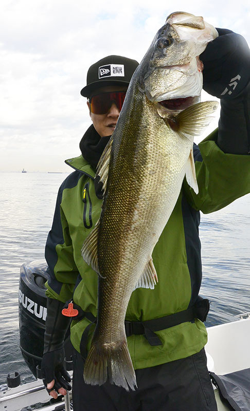 シーバス(スズキ)