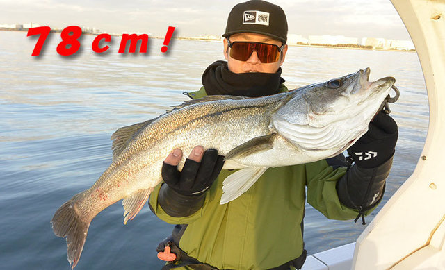 シーバス(スズキ)