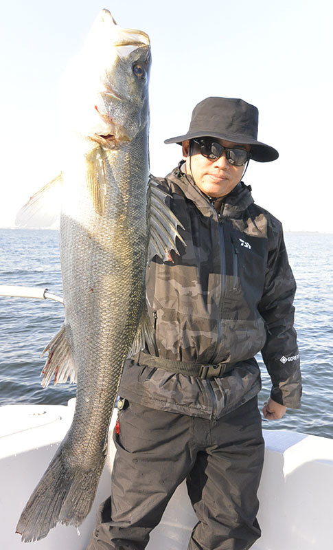 シーバス(スズキ)