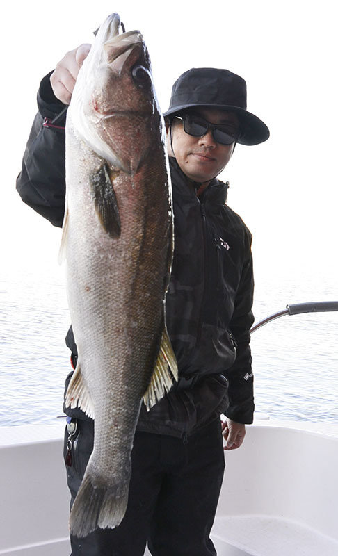 シーバス(スズキ)