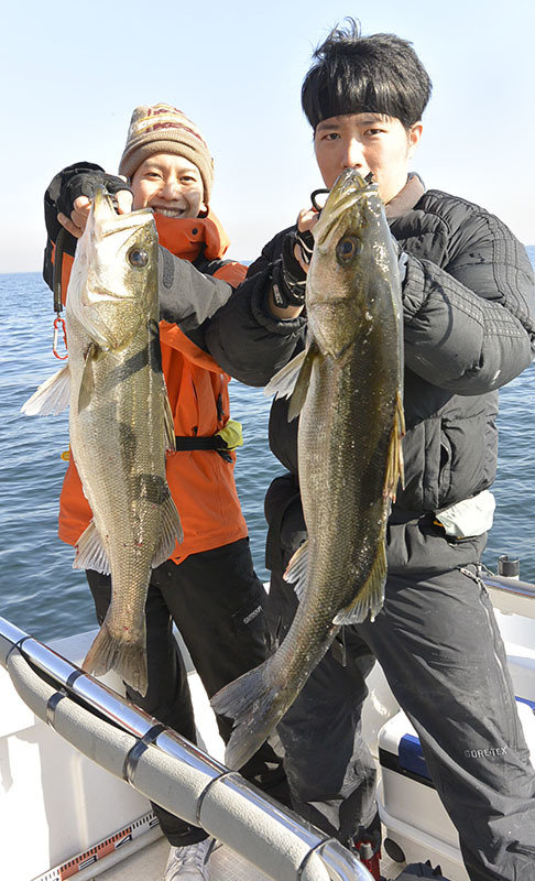 シーバス(スズキ)