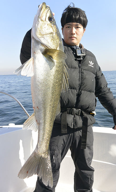 シーバス(スズキ)