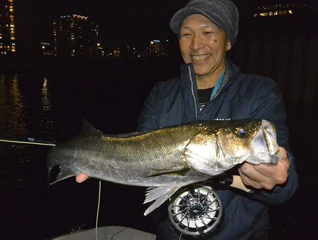 シーバス(スズキ)