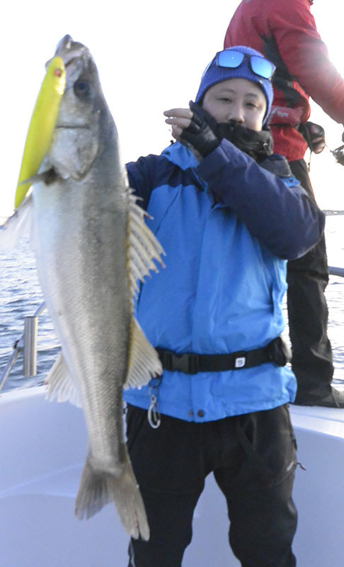 シーバス(スズキ)