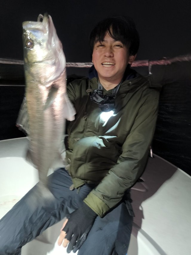 シーバス(スズキ)