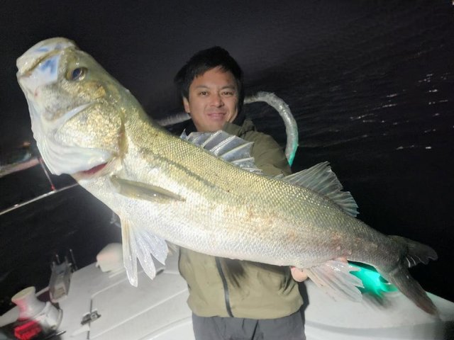 シーバス(スズキ)