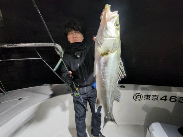 シーバス(スズキ)