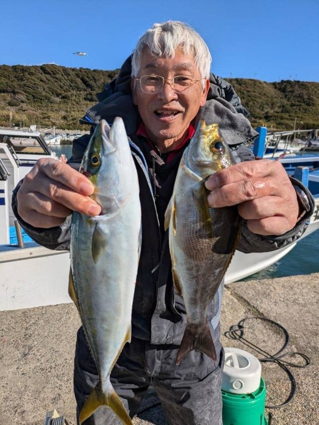 ツバス(ブリ)・イサキ