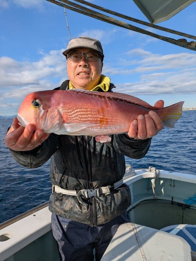 アマダイ(アカアマダイ)