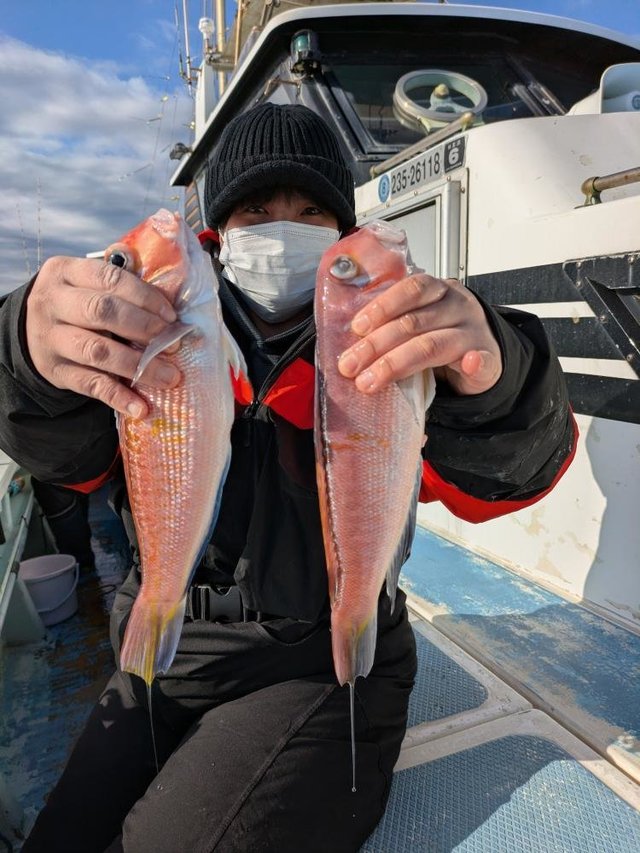 アマダイ(アカアマダイ)