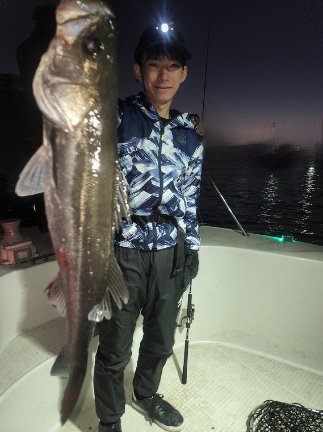 シーバス(スズキ)