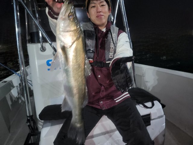 シーバス(スズキ)