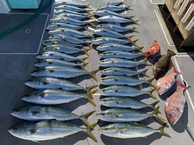 マダイ・ハマチ(ブリ)・カサゴ・ヒラメ