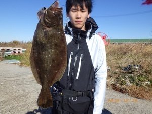 ヒラメ