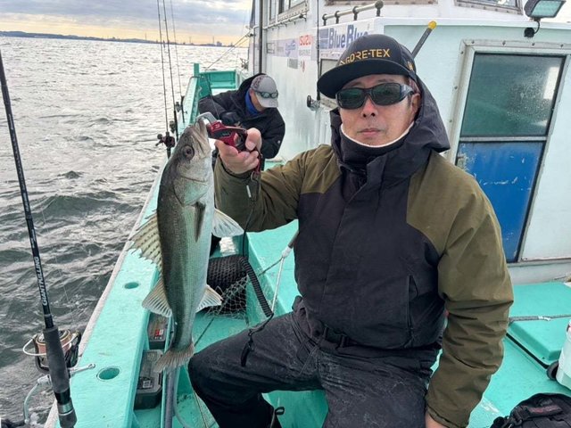 シーバス(スズキ)