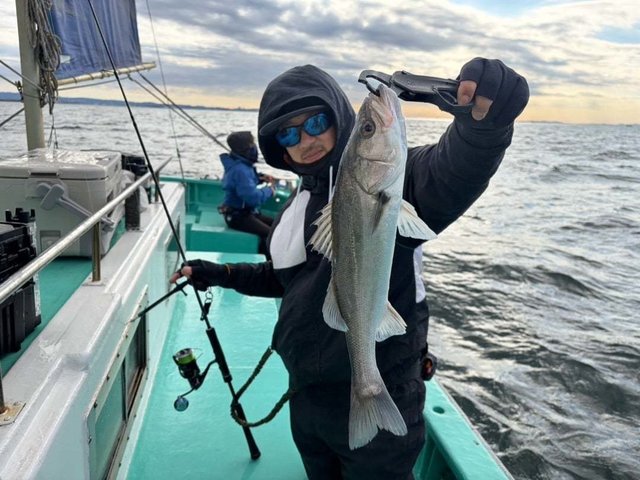 シーバス(スズキ)