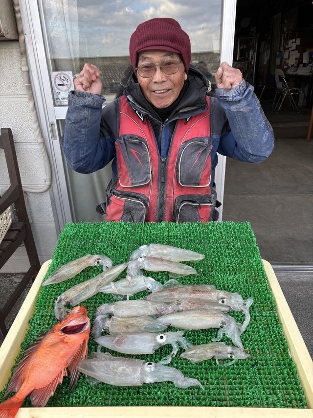 マルイカ(ケンサキイカ)