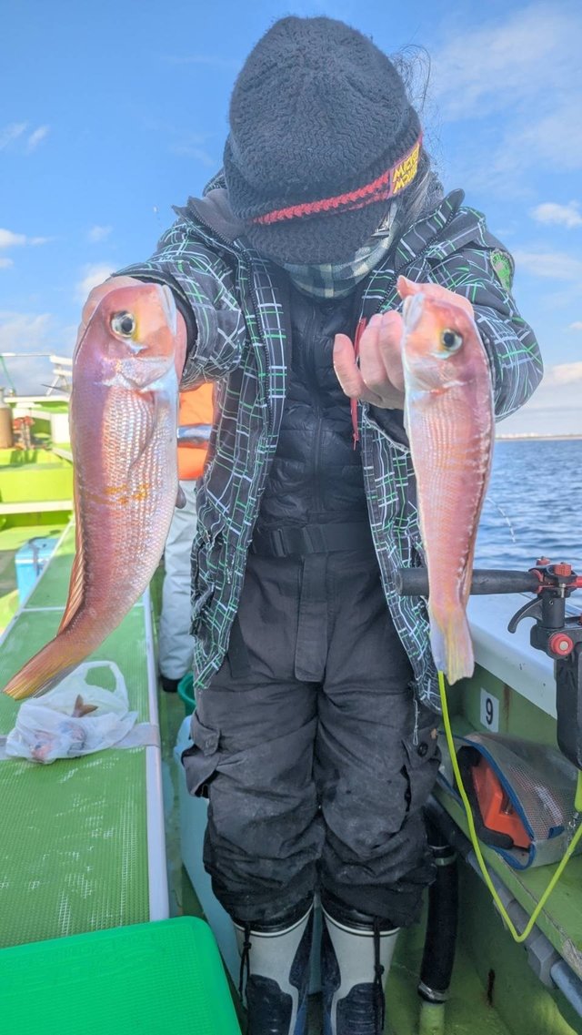 アマダイ(アカアマダイ)