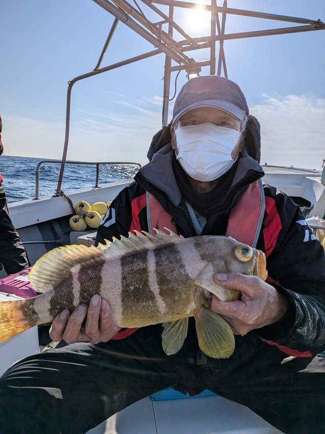 アオナ(アオハタ)