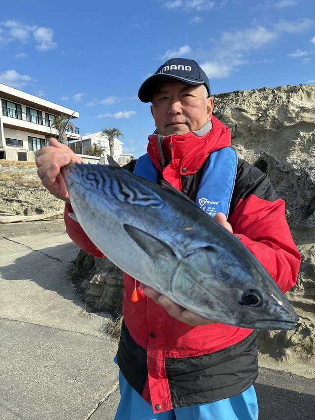 スマガツオ(スマ)