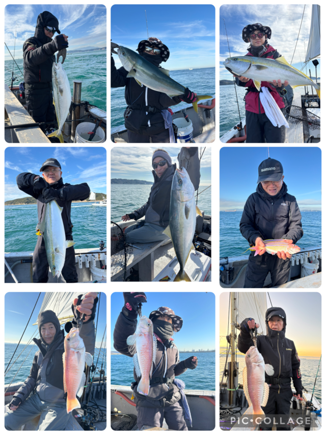 メジロ(ブリ)・シロアマダイ・イトヨリ(イトヨリダイ)