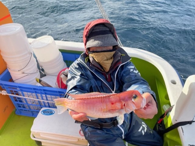 アマダイ(アカアマダイ)