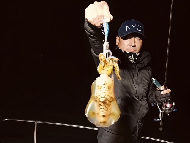 アオリイカ